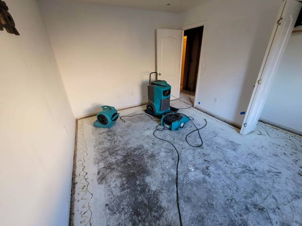 Best Residential water damage restoration  in Lake Lure, NC
